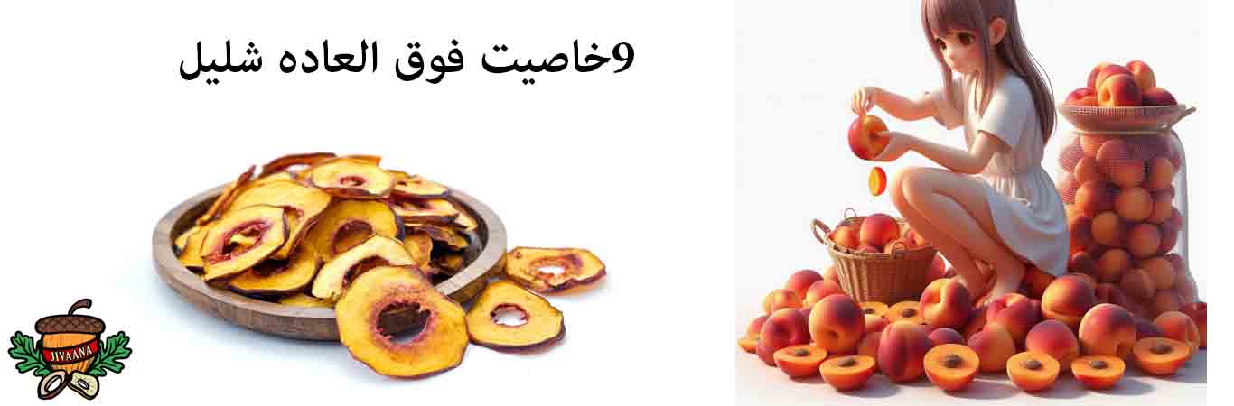9 special-properties-of-dried-nectarine